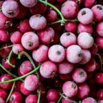 close up photo of red cherry fruits