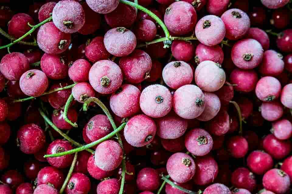 close up photo of red cherry fruits